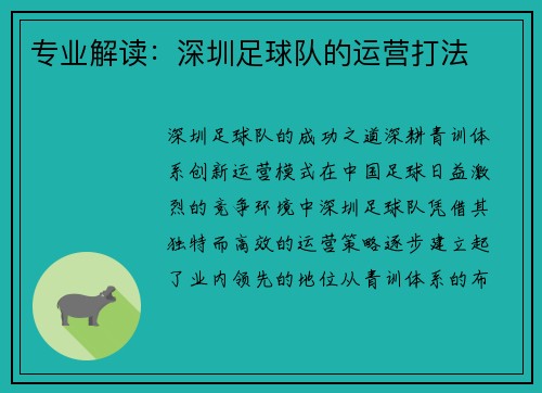 专业解读：深圳足球队的运营打法