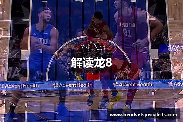 解读龙8